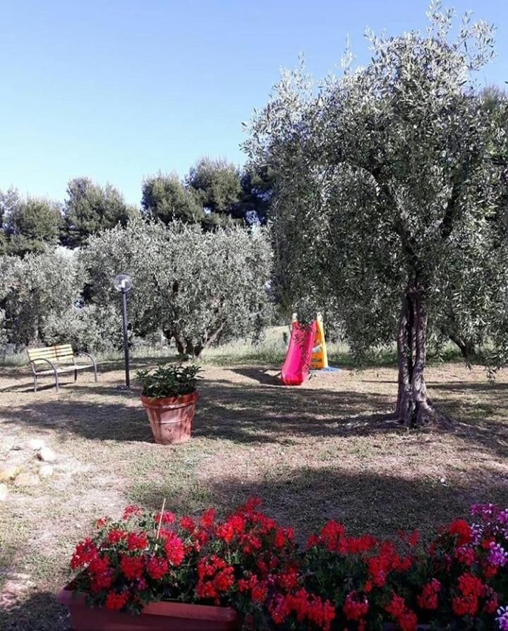 Bed and Breakfast La Collina Sul Mare Marina Palmense Zewnętrze zdjęcie