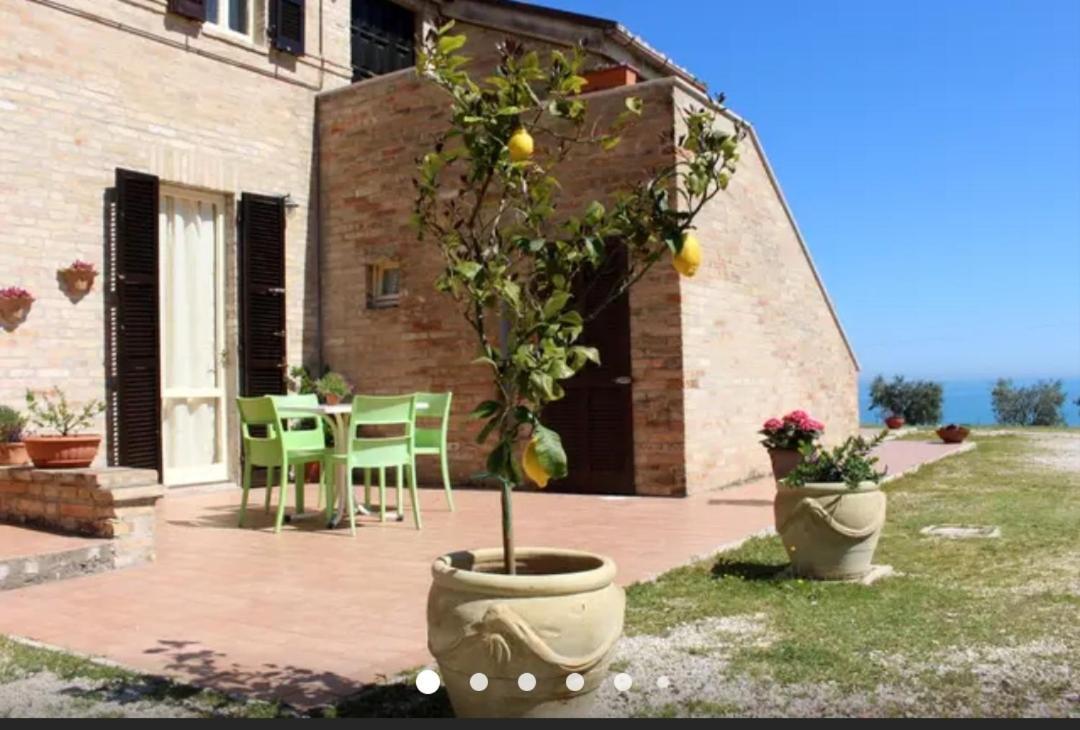 Bed and Breakfast La Collina Sul Mare Marina Palmense Zewnętrze zdjęcie