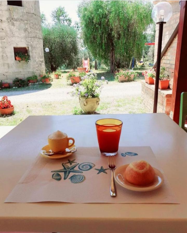 Bed and Breakfast La Collina Sul Mare Marina Palmense Zewnętrze zdjęcie